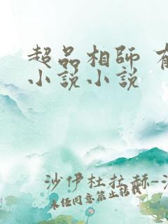 超品相师 有声小说小说