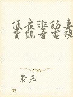 值夜班的妻子免费观看电视剧