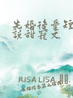 先婚后爱短篇小说甜宠文