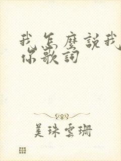 我怎么说我不爱你歌词