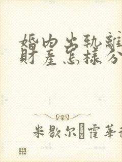 婚内出轨离婚后财产怎样分割