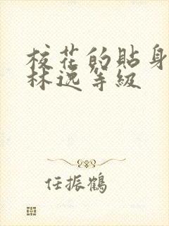 校花的贴身高手林逸等级