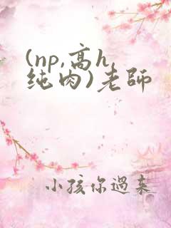 (np,高h,纯肉)老师
