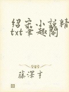 绍宋小说精校版txt笔趣阁