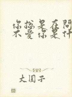 你总是在问我爱不爱你是什么歌曲