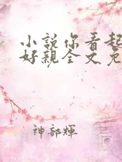 小说你看起来很好亲全文免费阅读