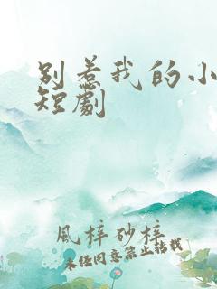 别惹我的小甜妻短剧