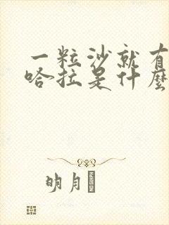 一粒沙就有了撒哈拉是什么歌的歌词