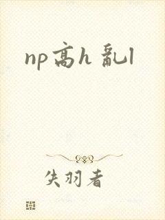 np高h 乱l