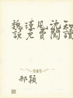 魏瑾风沈知玉小说免费阅读最新章节