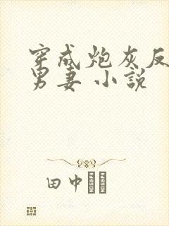 穿成炮灰反派的男妻 小说