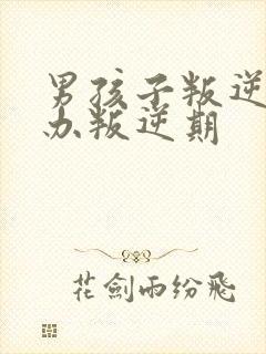 男孩子叛逆怎么办叛逆期