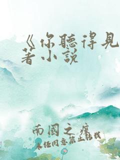 《你听得见》原著小说