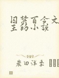 囚禁百合文双女主的小说