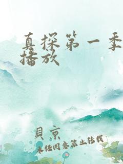 真探第一季在线播放