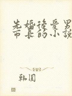 先婚后爱男主是市长的小说