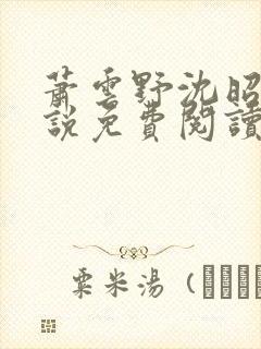 萧云野沈昭宁小说免费阅读最新章节