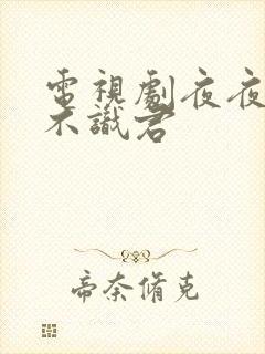 电视剧夜夜相见不识君