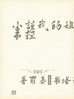 小说我的姐姐很弟控