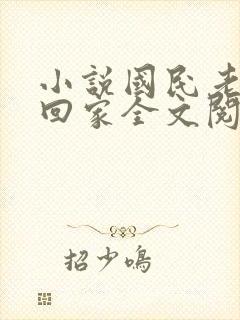 小说国民老公带回家全文阅读