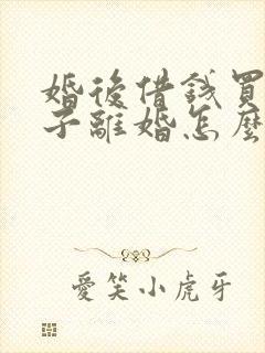 婚后借钱买的房子离婚怎么算