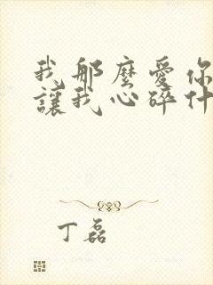 我那么爱你你却让我心碎什么歌