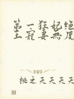 第一狂妃绝色邪王宠妻无度免费阅读