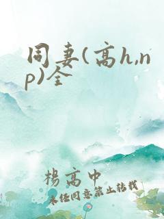 同妻(高h,np)全