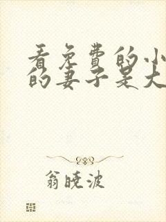 看免费的小说我的妻子是大乘期大佬