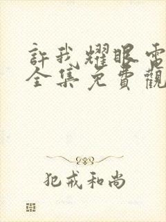 许我耀眼电视剧全集免费观看40集