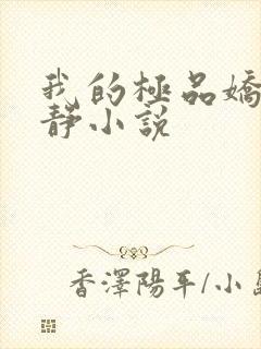 我的极品娇妻白静小说