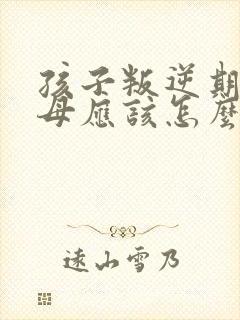 孩子叛逆期,父母应该怎么跟他沟通