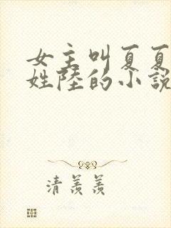 女主叫夏夏男主姓陆的小说
