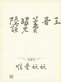 陆昭菱晋王的小说免费