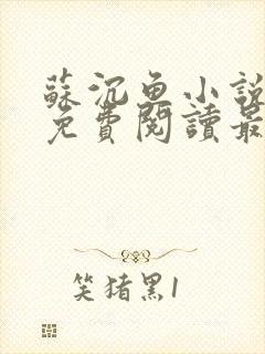 苏沉鱼小说全文免费阅读最新章节