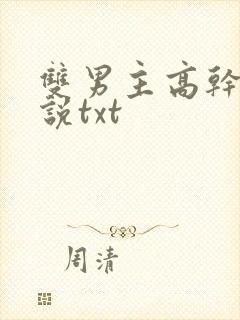 双男主高干文小说txt