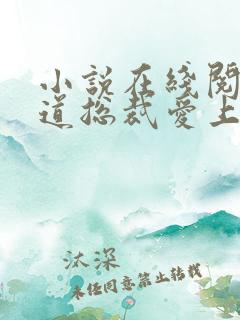 小说在线阅读霸道总裁爱上我