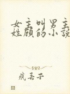 女主叫男主叔叔姓顾的小说