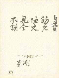 不见他的月光小说全文免费阅读