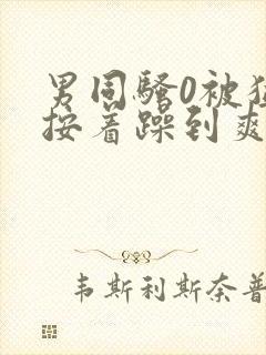 男同骚0被猛男按着躁到爽h