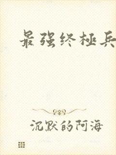 最强终极兵王
