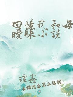 回忆我和母亲的暧昧小说