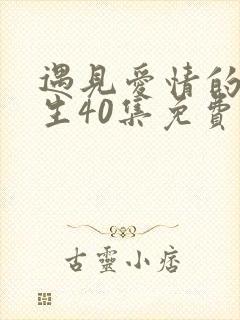 遇见爱情的利先生40集免费播放