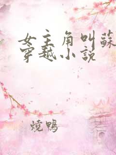 女主角叫苏浅的穿越小说