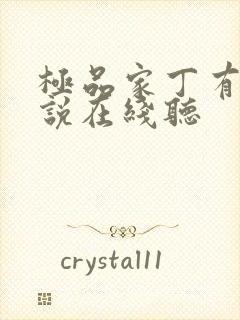 极品家丁有声小说在线听