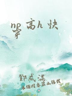 np 高h 快穿