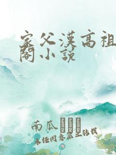 家父汉高祖笔趣阁小说