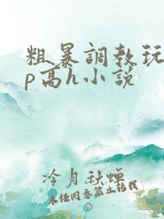 粗暴调教玩弄np高h小说