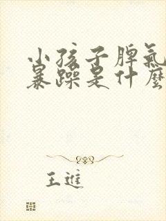 小孩子脾气大易暴躁是什么原因