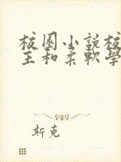 校园小说校霸男主和柔软学霸女主